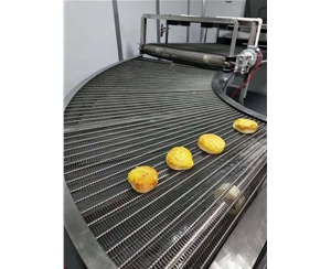 潍坊食品网带转弯机
