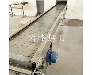 潍坊链板输送机